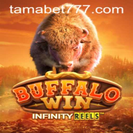 BuffaloWin: The Thrilling Casino Experience Redefined by TAMABET