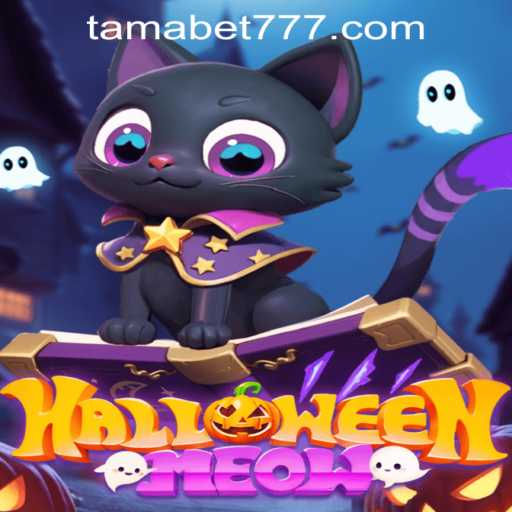 Discover HalloweenMeow: The Purr-fect Spooky Adventure with TAMABET